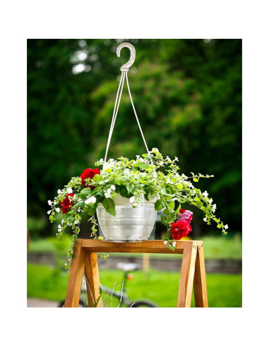 Bandejas de Goteo KOROI 10 Piezas 19.8 cm Plástico Transparente