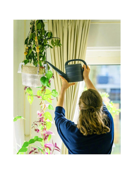 Bandejas de Goteo KOROI 10 Piezas 19.8 cm Plástico Transparente