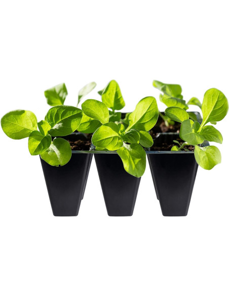 Bandeja de Inicio de Semillas Gardzen 30 Piezas 6 Celdas