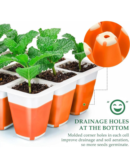 Kit de Inicio de Semillas Ryscam 6 Piezas Silicona Naranja