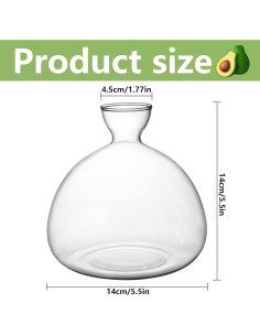 Kit de Crecimiento de Árbol de Aguacate Moonoom - Jarrón de Vidrio 2