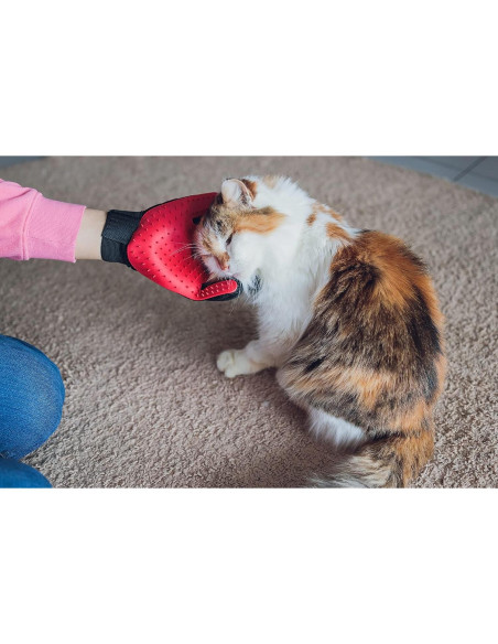 Guantes de Aseo para Mascotas Yepets - Rojo, 22.6x16.3cm