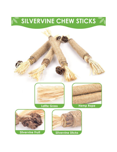 Palitos de Masticar Silvervine TINDTOP - Paquete de 10 para Gatos