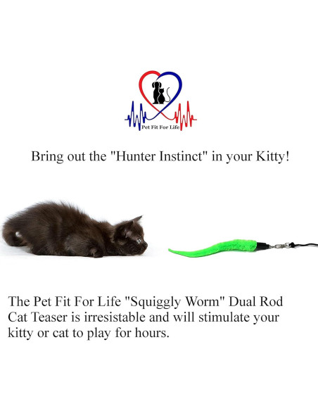 Juguete Interactivo para Gatos Pet Fit For Life - Varita + 5 Gusanos