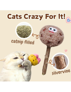 Paquete de 4 Lollipops de Hierba Gatera CECE PAW 11.9x6.9 cm 2