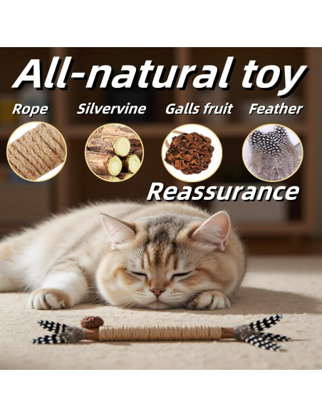 Juguete para Gatos GREMBEB 12PCS Hierba Gatera Interactiva