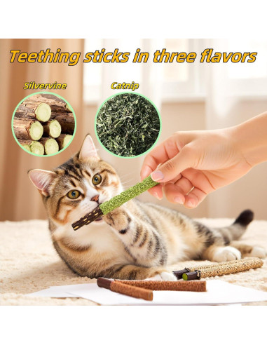 Juguete para Gatos GREMBEB 12PCS Hierba Gatera Interactiva