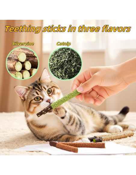 Juguete para Gatos GREMBEB 12PCS Hierba Gatera Interactiva