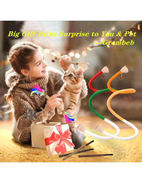 Juguete para Gatos GREMBEB 12PCS Hierba Gatera Interactiva