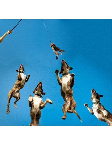 Juguete Interactivo para Perros ASOCEA Varita Extensible 88.9 cm