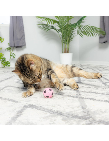Esponjas Pelotas de Fútbol SPOT para Gatos - Paquete de 4