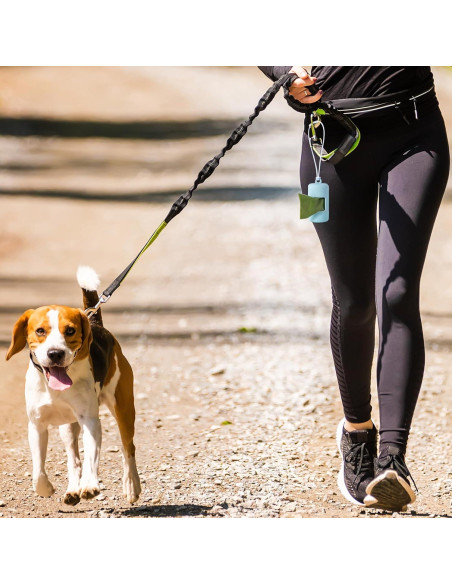 Dispensador de bolsas de excremento para perros SLSON - 2 unidades Dispensador de bolsas de excremento para perros SLSON - 2 unidades