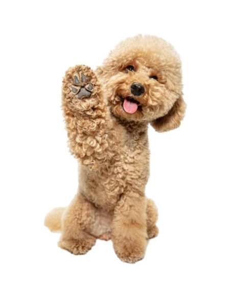 Soporte para bolsas de excremento de perro Everything Chic Naranja Soporte para bolsas de excremento de perro Everything Chic Naranja