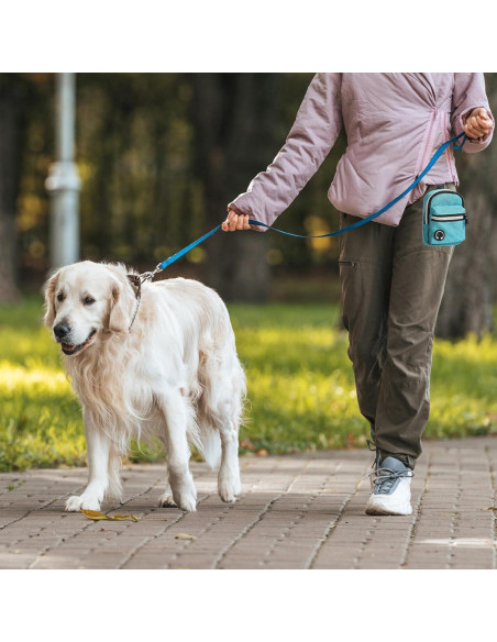 Dispensador de bolsas de excremento para perros YAFIYGI azul