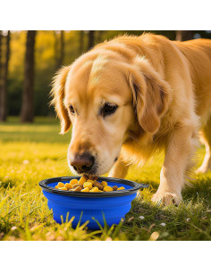 Tazones de Viaje Plegables para Perros Blusaryme 473ml 2