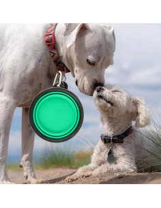 Tazones Plegables para Perros Guardians 34oz 2 Piezas Azul Verde 2