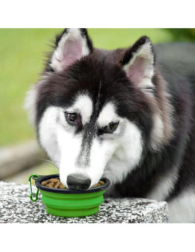 Tazones de Viaje Portátiles ARTECARE 2 Piezas Colapsables