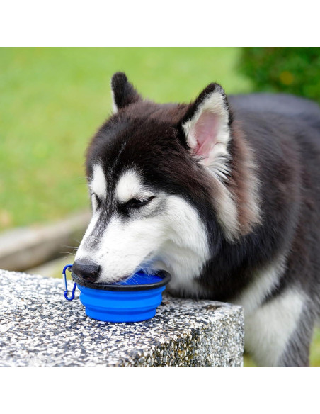 Tazones de Viaje Portátiles ARTECARE 2 Piezas Colapsables