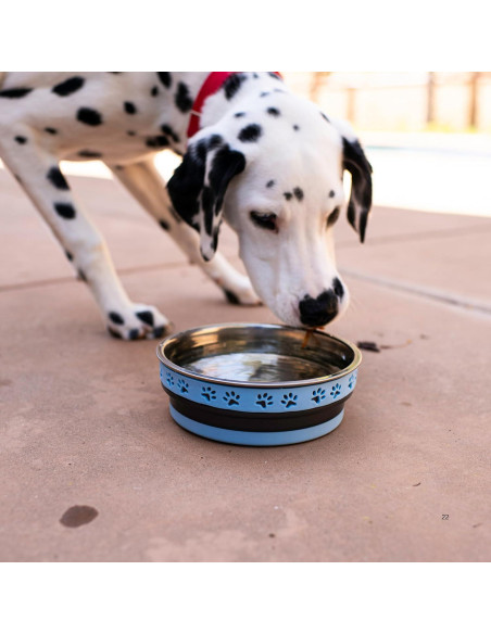 Tazón Antideslizante para Perros y Gatos Loving Pets 14cm Azul