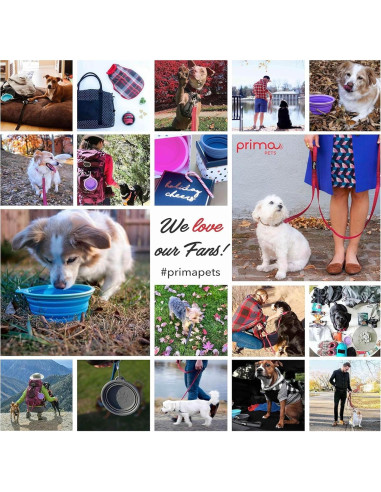 Tazón de Viaje Plegable Prima Pets 1.5 Tazas Púrpura - 2 Paquete