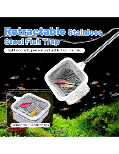 Red de Acuario Donmnemb 3" con Mango Inoxidable 20-48cm