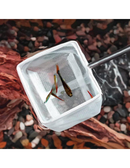 Red para Acuario JIEYAO Telescópica 6.5x6.5cm Mango 12.5-40cm