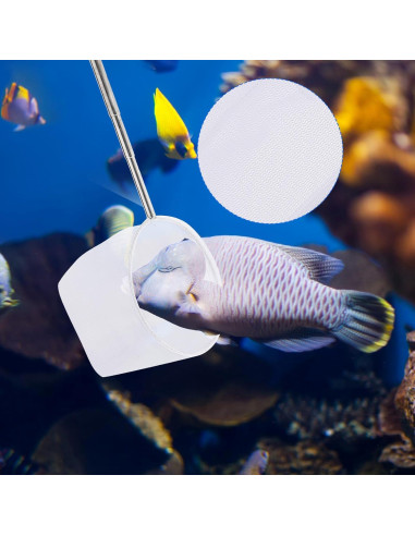 Red de Pesca para Acuario Hariendny 10.2 cm Mango Extensible