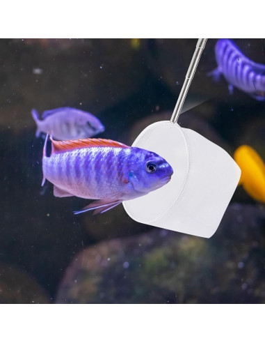 Red de Pesca para Acuario Hariendny 10.2 cm Mango Extensible