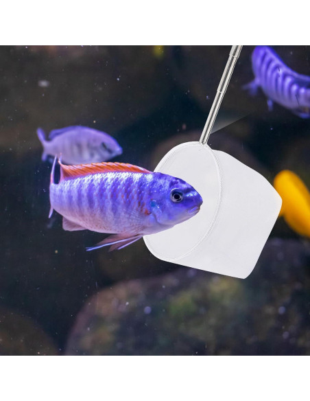 Red de Pesca para Acuario Hariendny 10.2 cm Mango Extensible