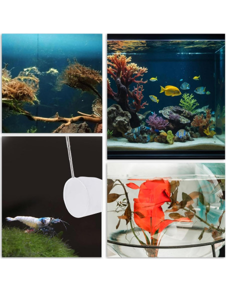 Red de Pesca para Acuario Hariendny 10.2 cm Mango Extensible