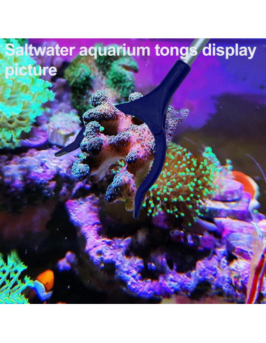 Kits de Agarrador de Arrecife y Alimentador de Coral - Elección de Acuario