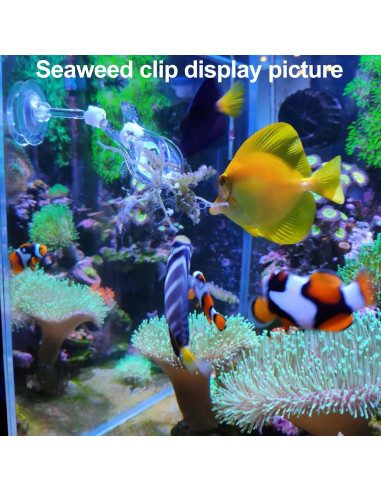 Kits de Agarrador de Arrecife y Alimentador de Coral - Elección de Acuario