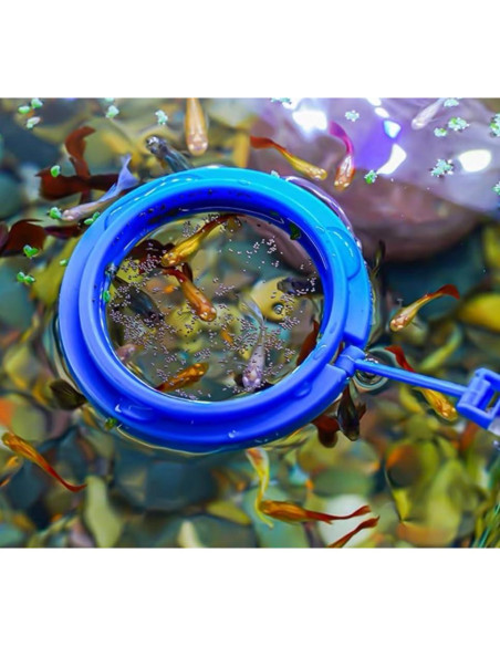 Kits de Agarrador de Arrecife y Alimentador de Coral - Elección de Acuario