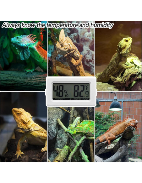 Termómetro Digital Higrómetro Poly para Reptiles 2 en 1