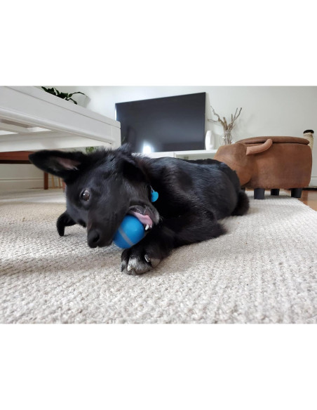 BarxBuddy Busy Ball Juguete Interactivo para Gatos y Perros