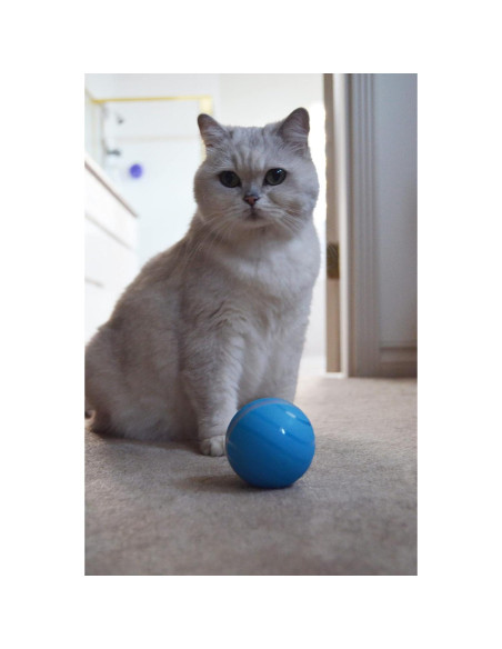 BarxBuddy Busy Ball Juguete Interactivo para Gatos y Perros