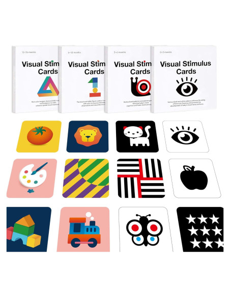 Tarjetas Flash de Estimulación Visual Richgv 0-36 Meses