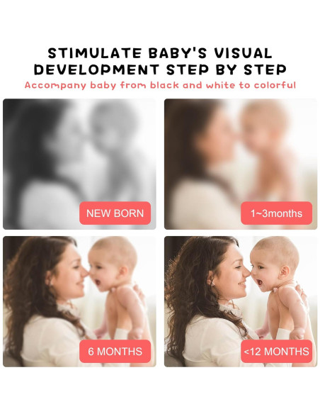 Tarjetas Flash de Estimulación Visual Richgv 0-36 Meses