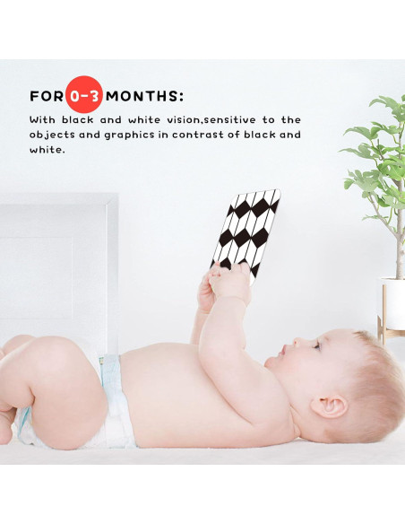 Tarjetas Flash de Estimulación Visual Richgv 0-36 Meses