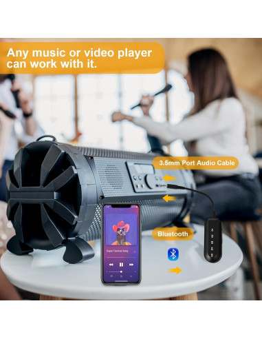 Eliminador de Voces T300 - Receptor Bluetooth para Karaoke