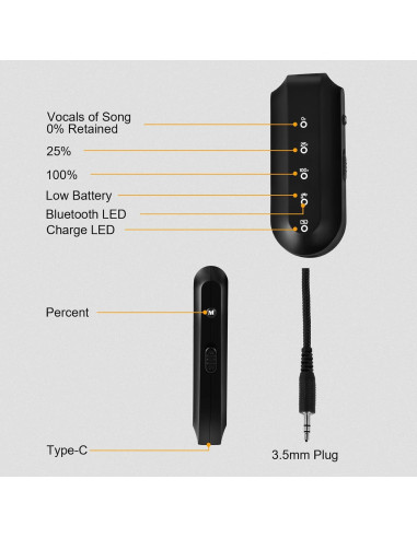 Eliminador de Voces T300 - Receptor Bluetooth para Karaoke