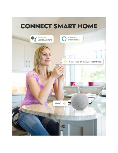 Temporizador de Agua WiFi RAINPOINT con Control APP y Clima