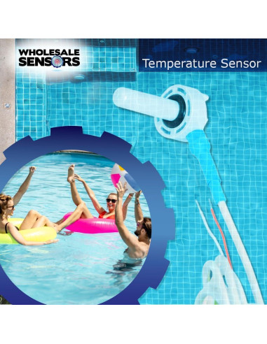 Sensor de Temperatura Pentair 520272 6.1m Cable Garantía 12 Meses