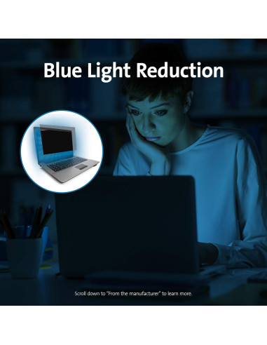 Pantalla de Privacidad Kensington FP133W10 para Laptop 13.3"