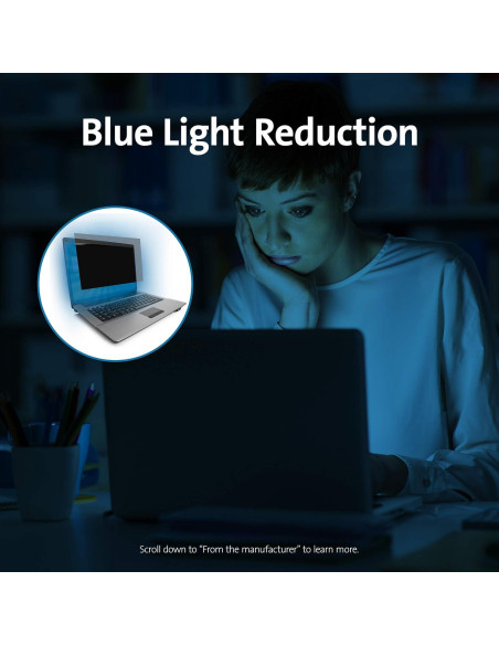 Pantalla de Privacidad Kensington FP133W10 para Laptop 13.3"