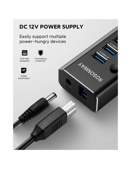 Hub USB 3.0 Alimentado Rosonway RSH-A10 de 10 Puertos