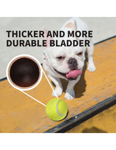 Pelotas de Tenis para Perros AFP 6.35 cm Paquete de 6