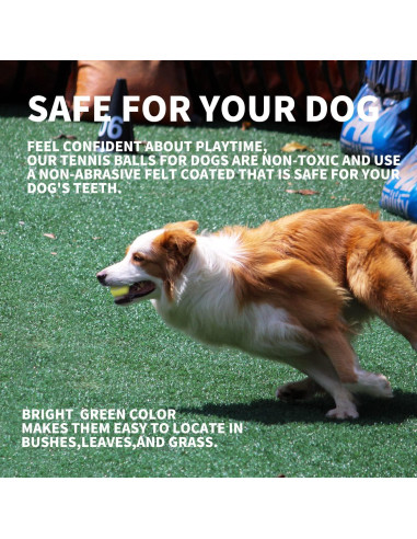 Pelotas de Tenis para Perros AFP 6.35 cm Paquete de 6