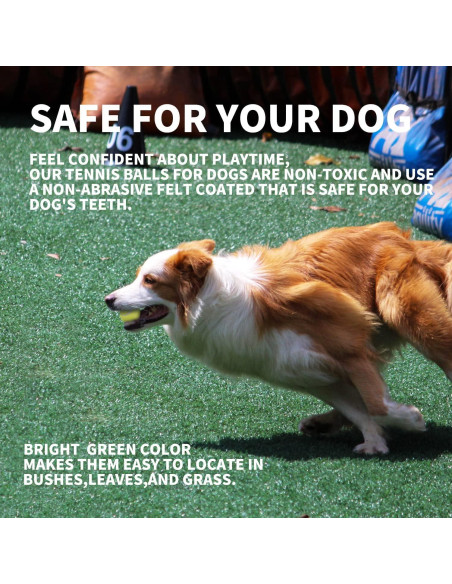 Pelotas de Tenis para Perros AFP 6.35 cm Paquete de 6