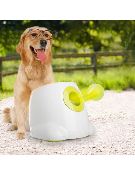 Pelotas de Tenis para Perros AFP 6.35 cm Paquete de 6